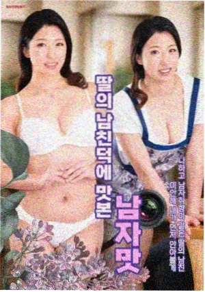 免费观看电影 风骚律师